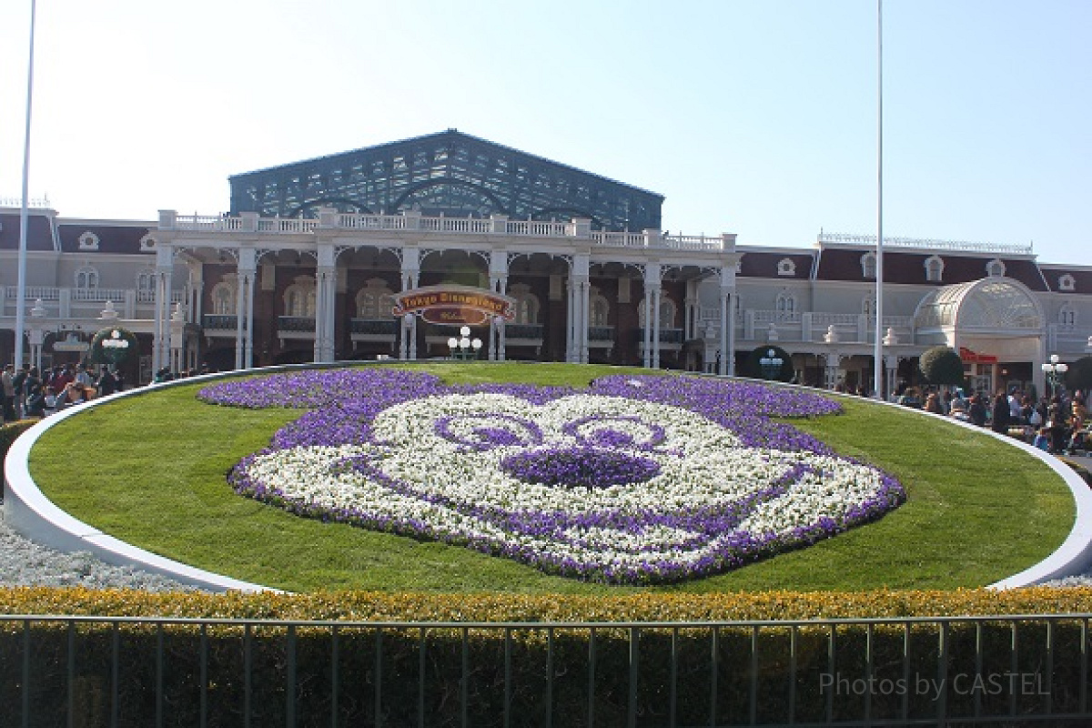 東京ディズニーランドエントランスの花壇| キャステル | CASTEL ディズニー情報