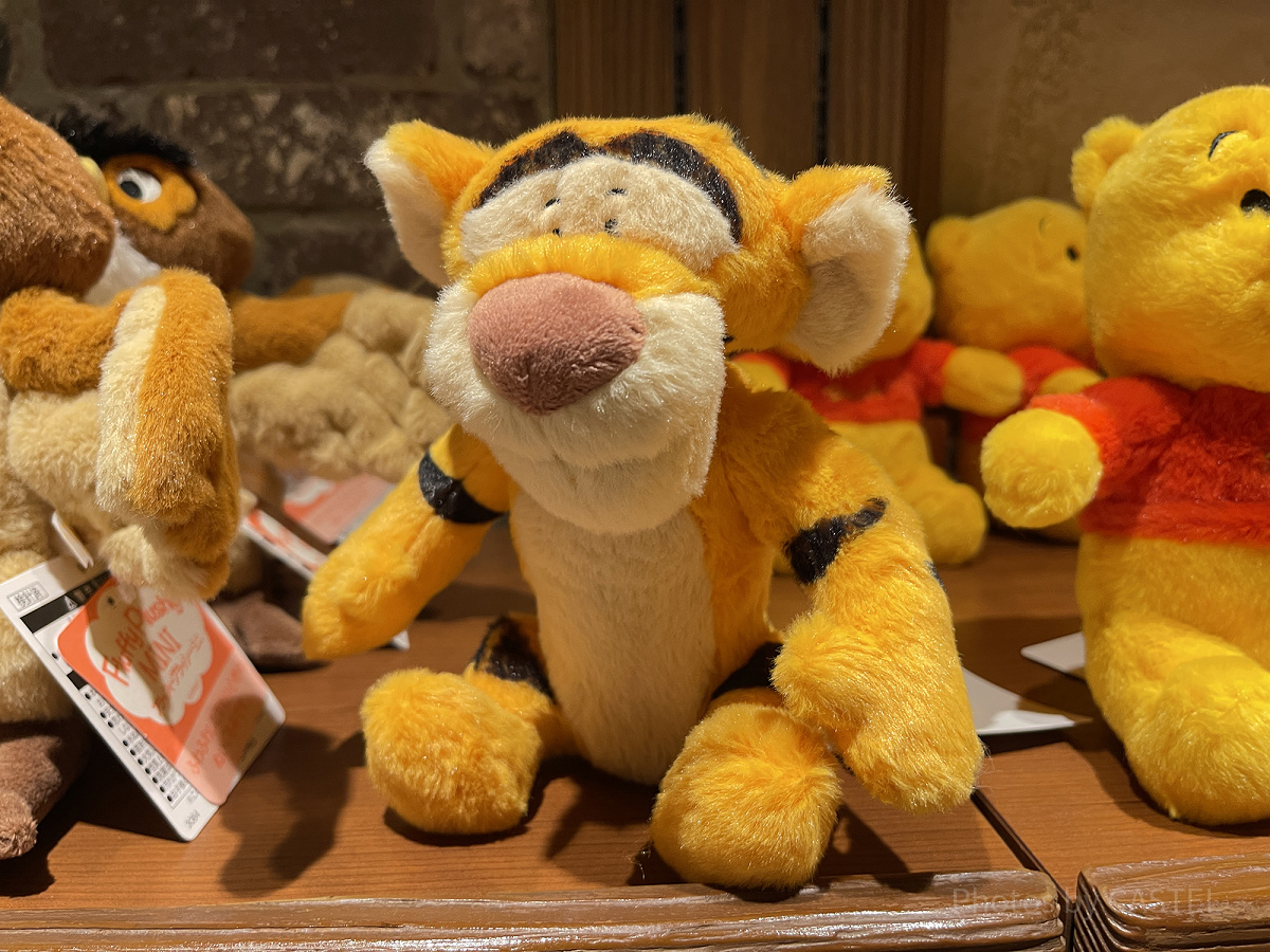 大きいサイズが登場！東京ディズニーランド「ミッキー・ミニー
