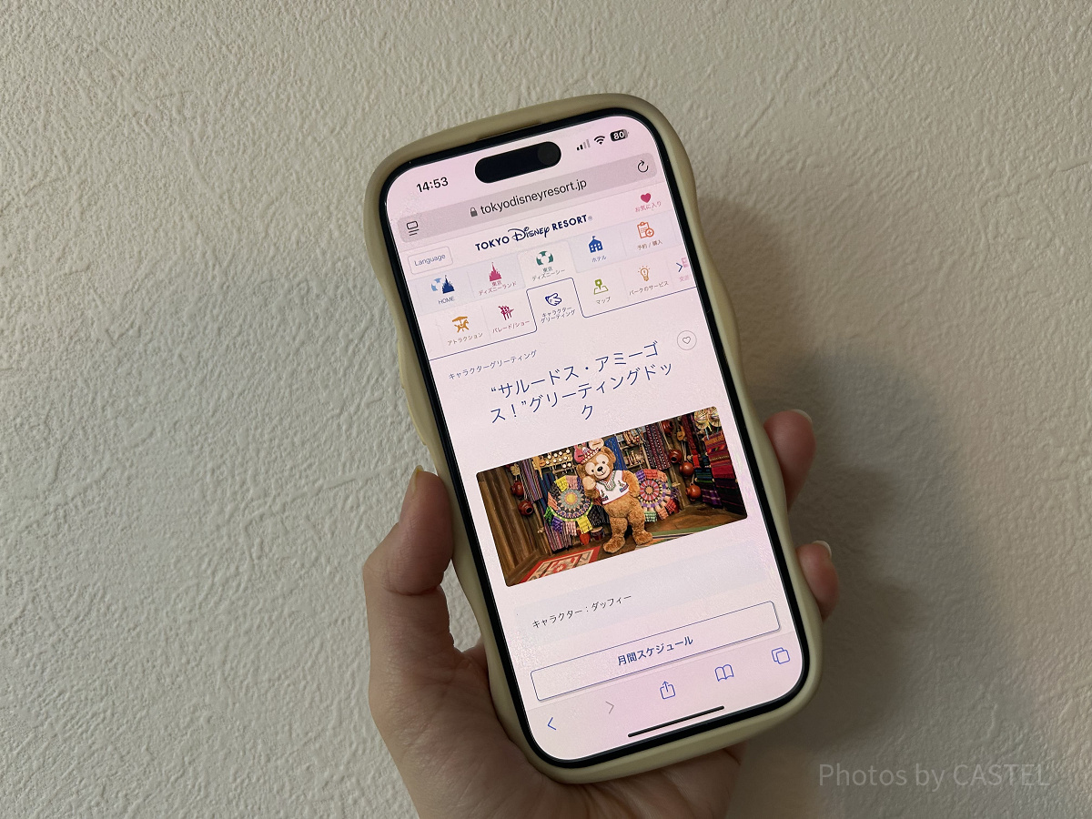 ダッフィーとのグリーティングのホームぺージ画面