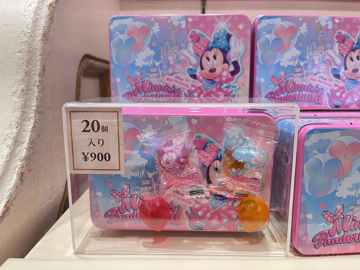 ミニーのファンダーランド】ホームページやアプリには載ってない