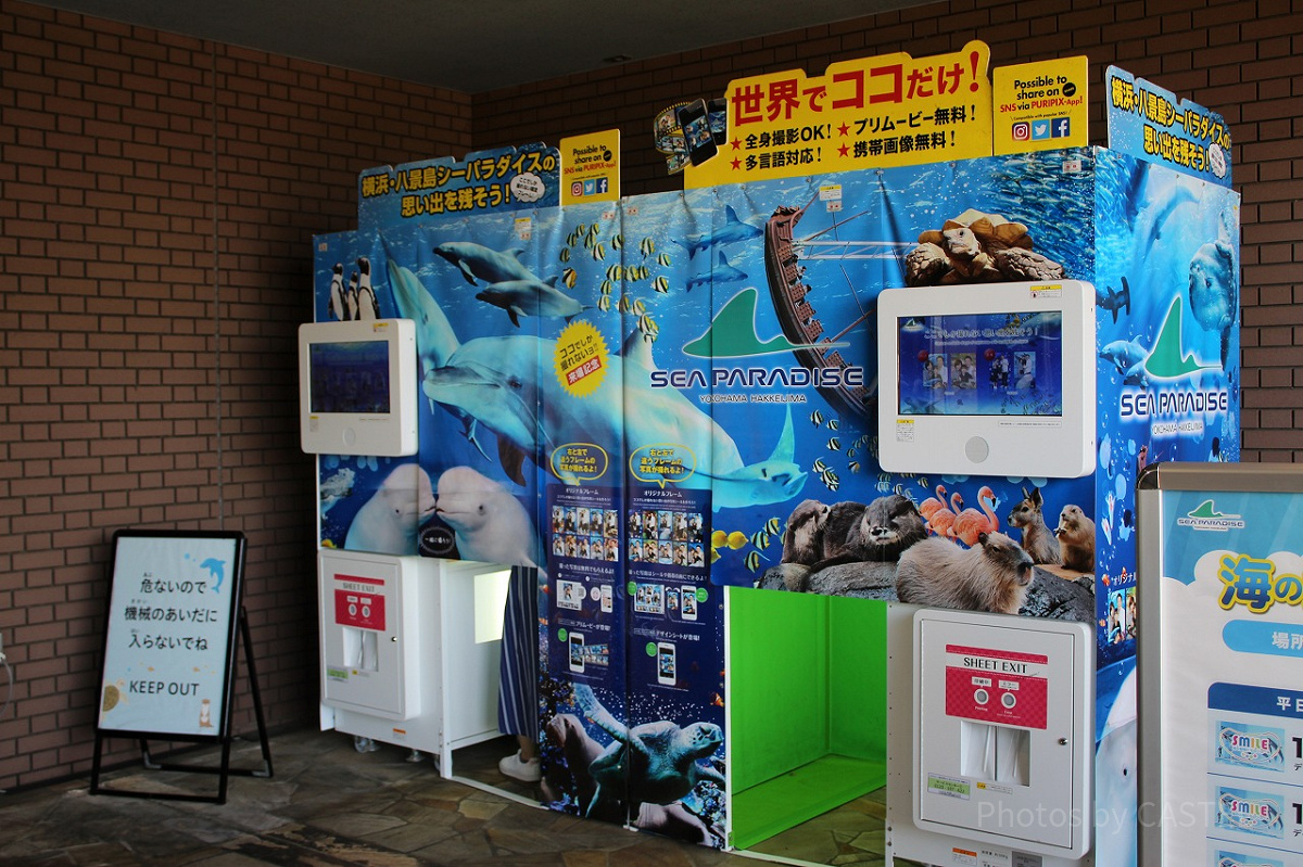 ⑧ シーグラスアート バラ ことり ヒーリングアート - メルカリ
