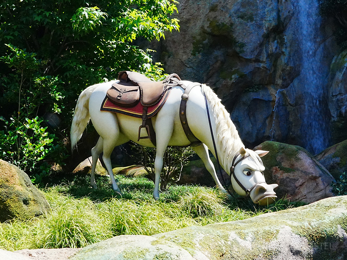 マキシマス〔ラプンツェルのランタンフェスティバル〕| キャステル