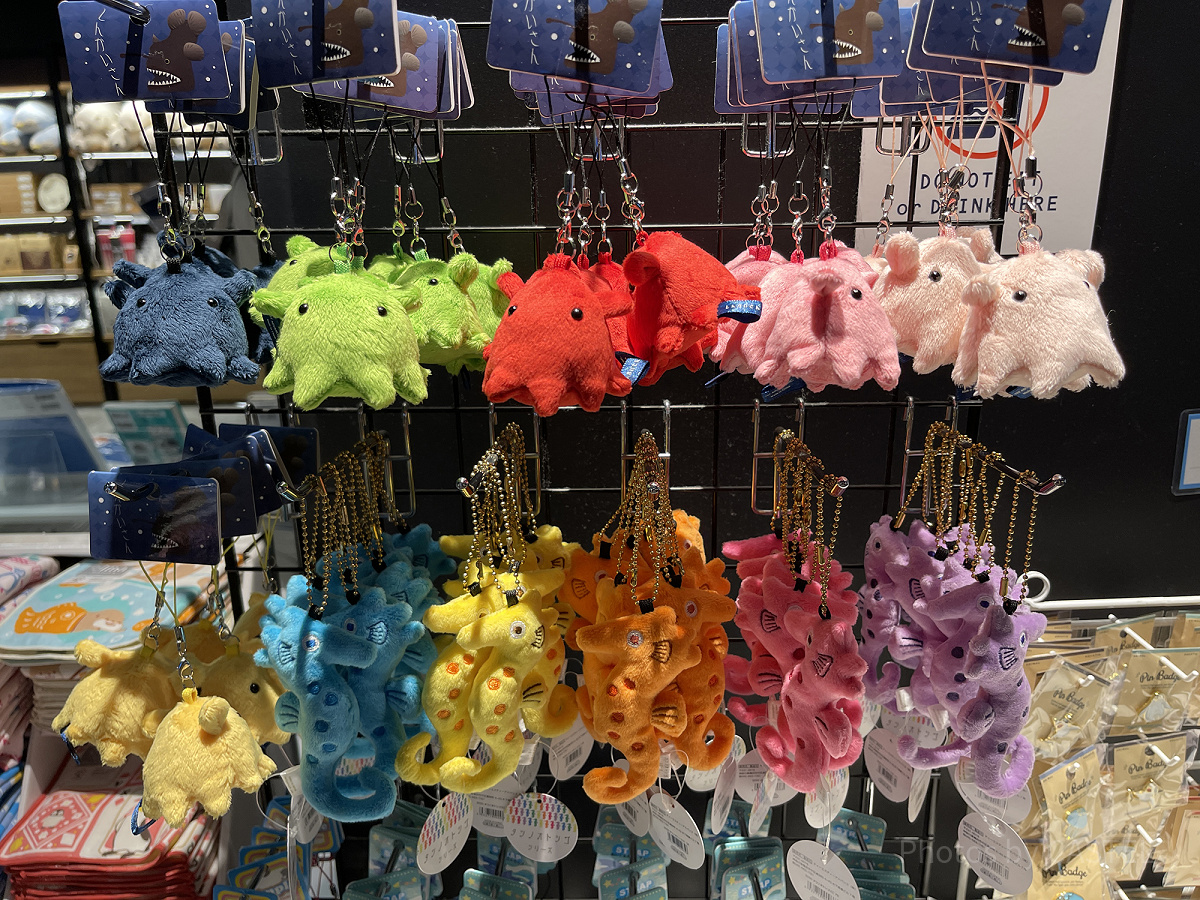 メンダコストラップ（アクアパーク品川グッズ）| キャステル | CASTEL