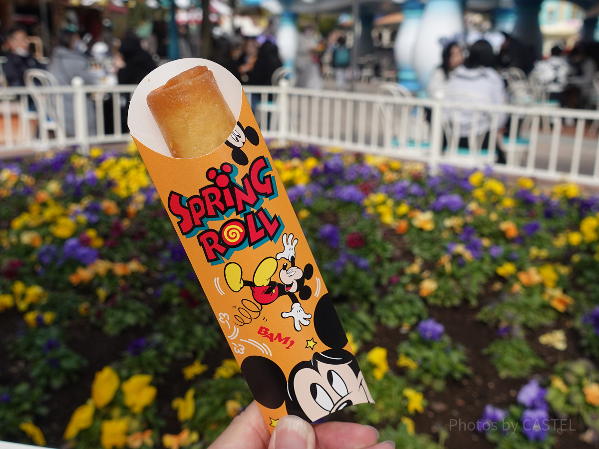 ディズニーランド食べ物：スプリングロール