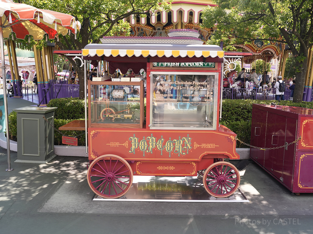 キャッスルカルーセル横| キャステル | CASTEL ディズニー情報