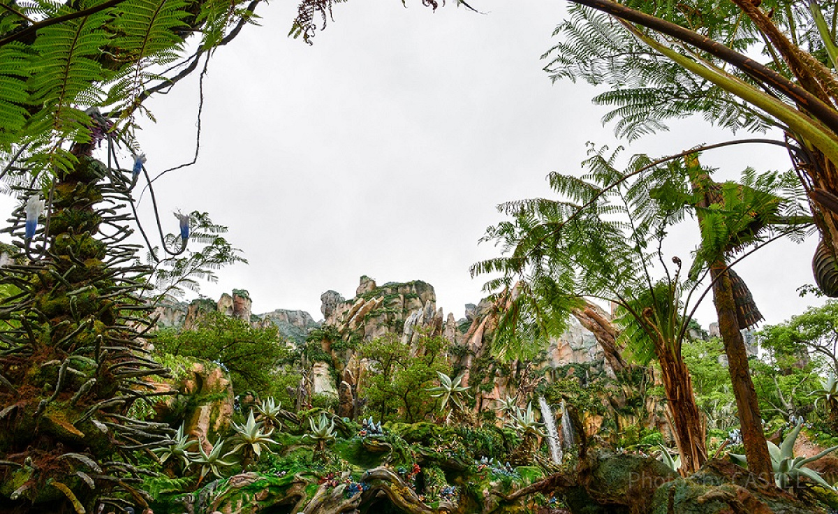 Pandora - The World of Avatar エントランス　<br/>設定：16㎜ SS1/100 F10 ISO100