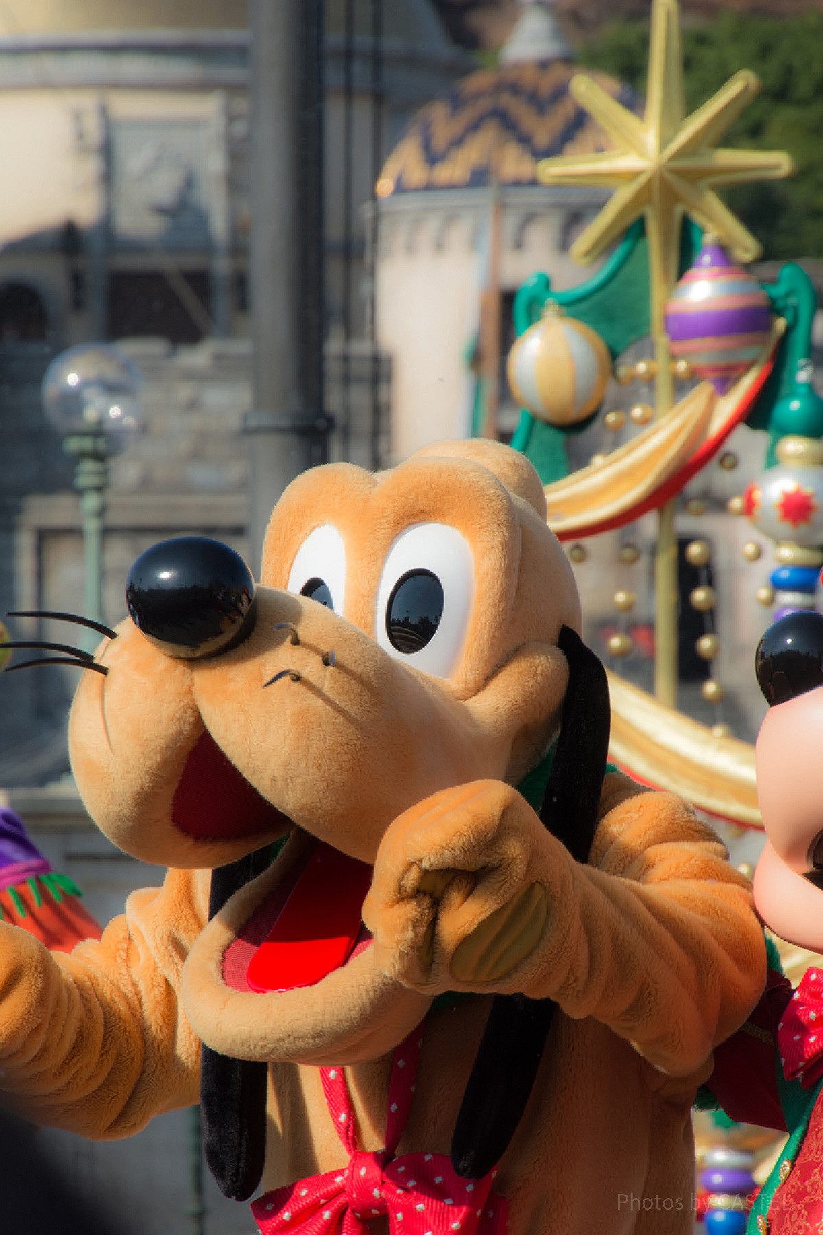 プルート| キャステル | CASTEL ディズニー情報