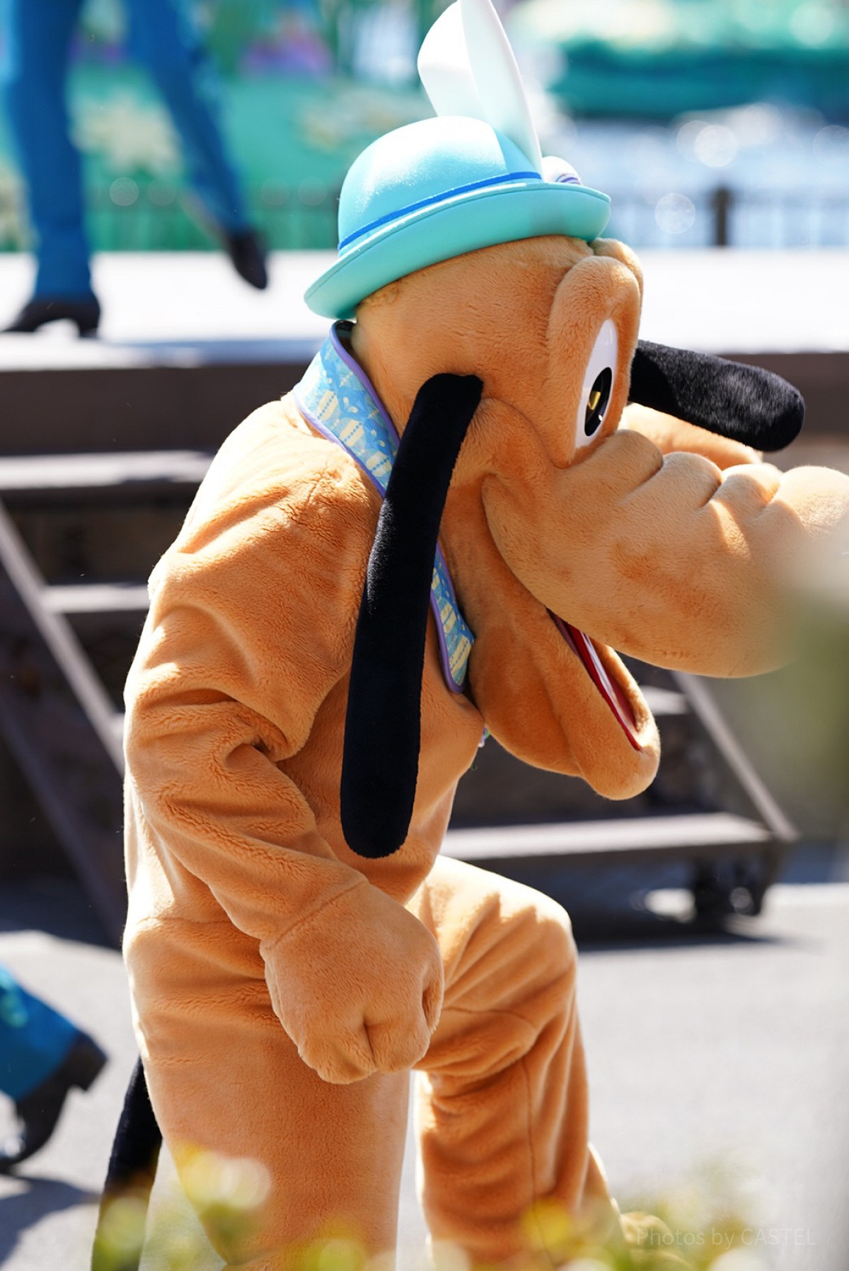 プルート| キャステル | CASTEL ディズニー情報