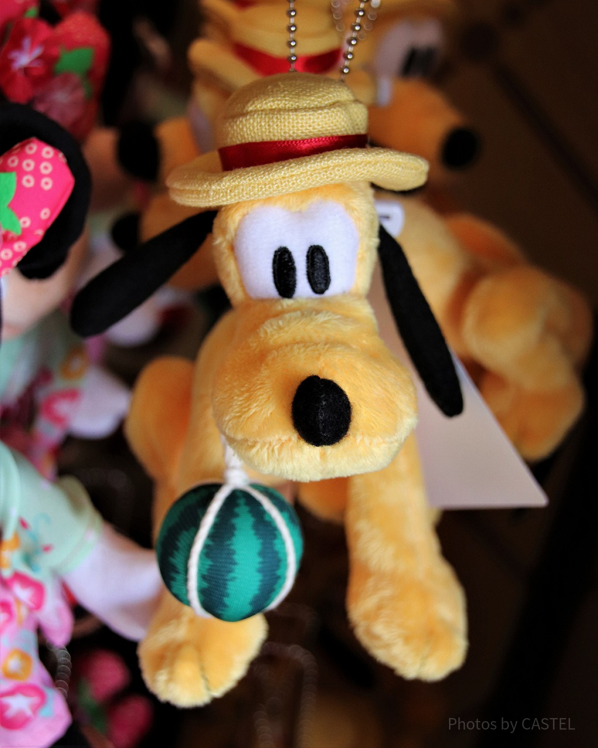 1　プルート　ぬいば　2012年クリスマス 1 プルート ぬいば 2012年クリスマス クリスマス・グッズ2012画像