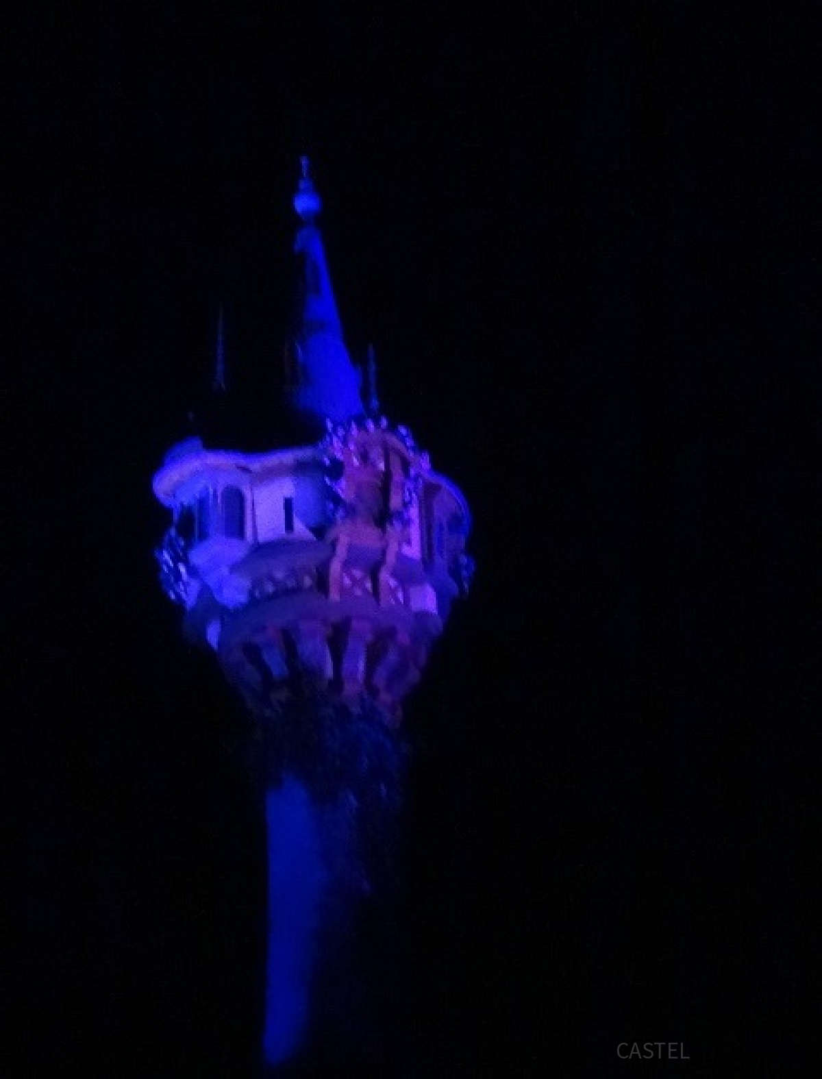 ラプンツェルの塔