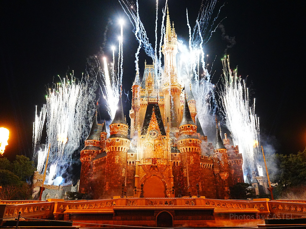 バケパ鑑賞エリアから見たReach for the Stars