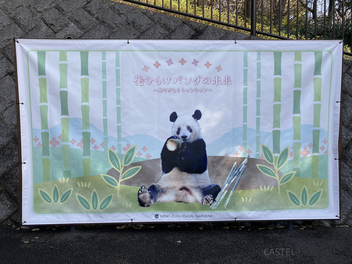 シャンシャンのフォトスポット／上野動物園