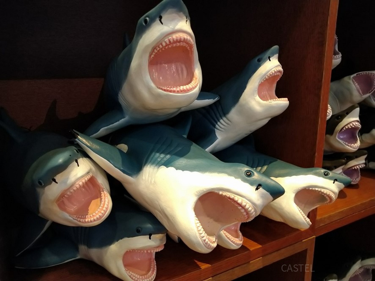 サメの人形