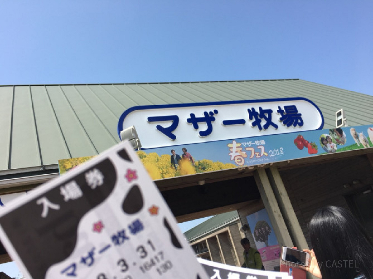 マザー牧場のお土産まとめ