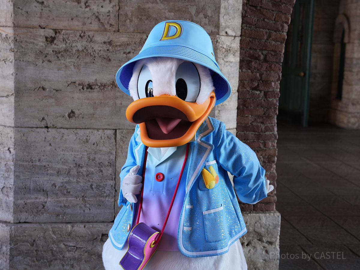 ドナルドの年齢にびっくり？！| キャステル | CASTEL ディズニー情報