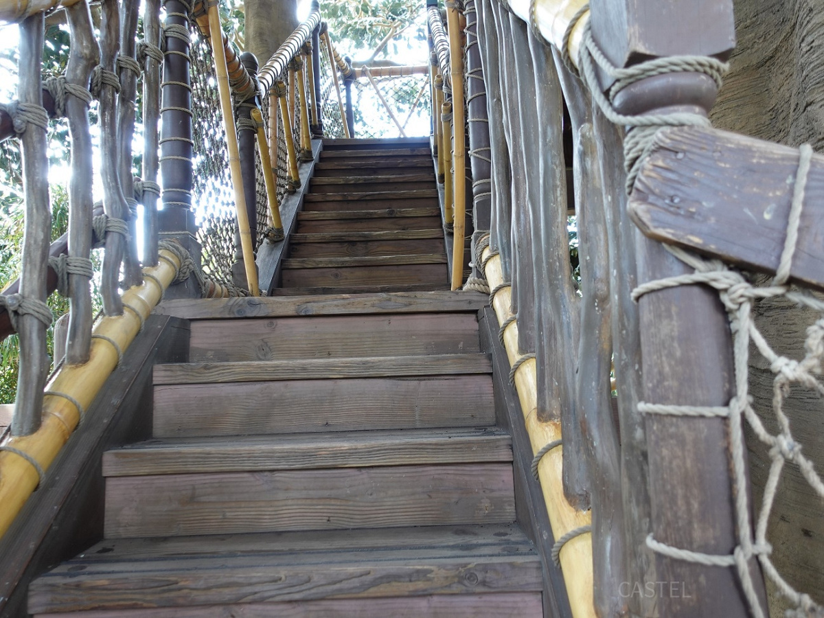 スイスファミリー・ツリーハウス：上へとつながる階段
