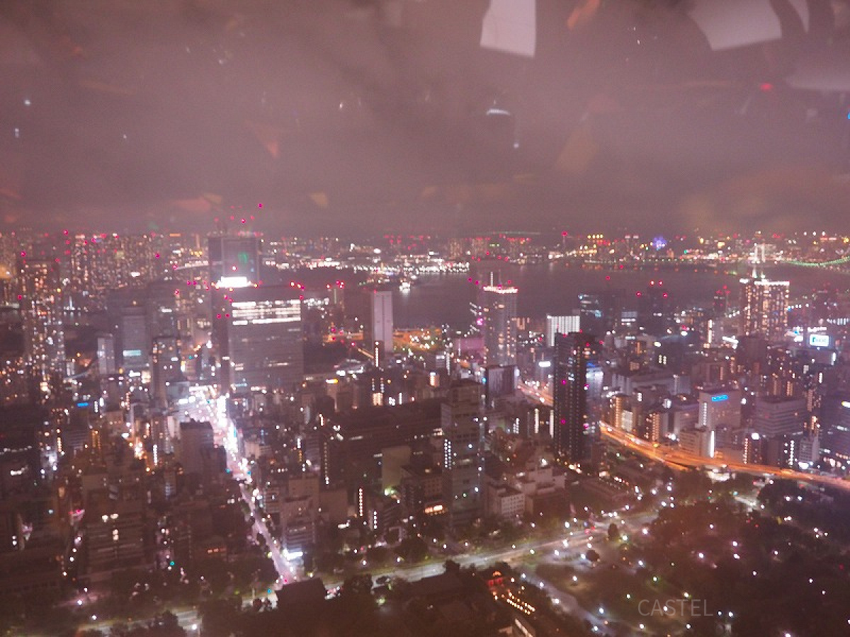 東京タワーから見る夜景は絶景です！