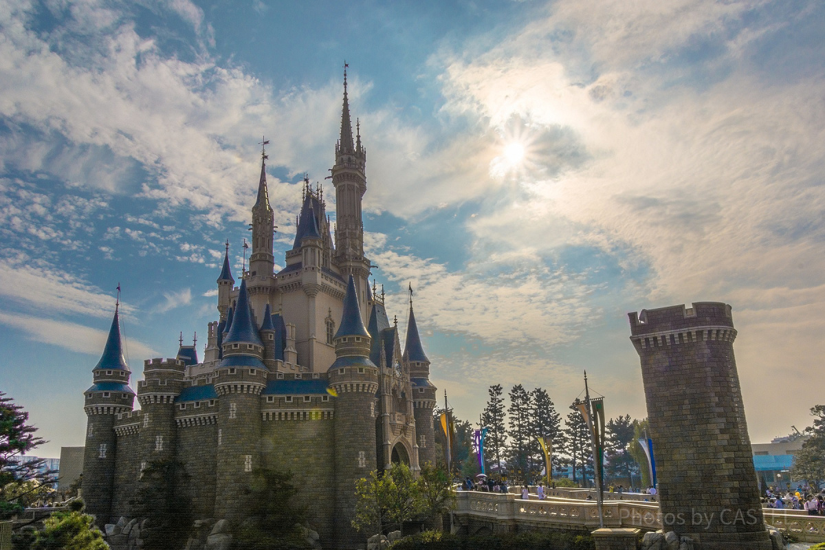 東京ディズニーランドのテーマポートグッズ