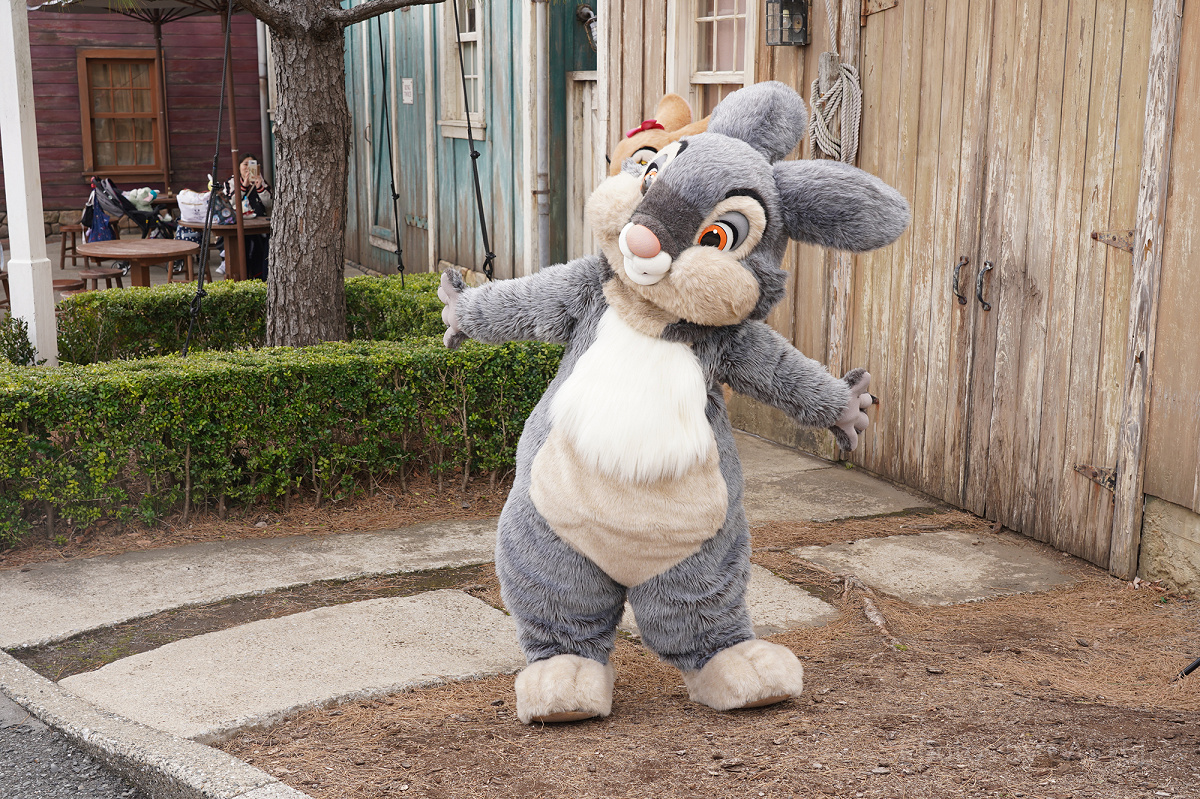 とんすけ| キャステル | CASTEL ディズニー情報