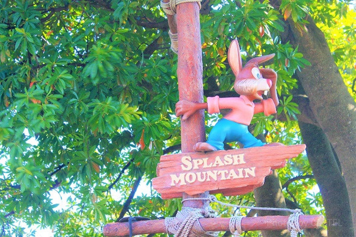スプラッシュマウンテンのうさぎどん| キャステル | CASTEL ディズニー情報