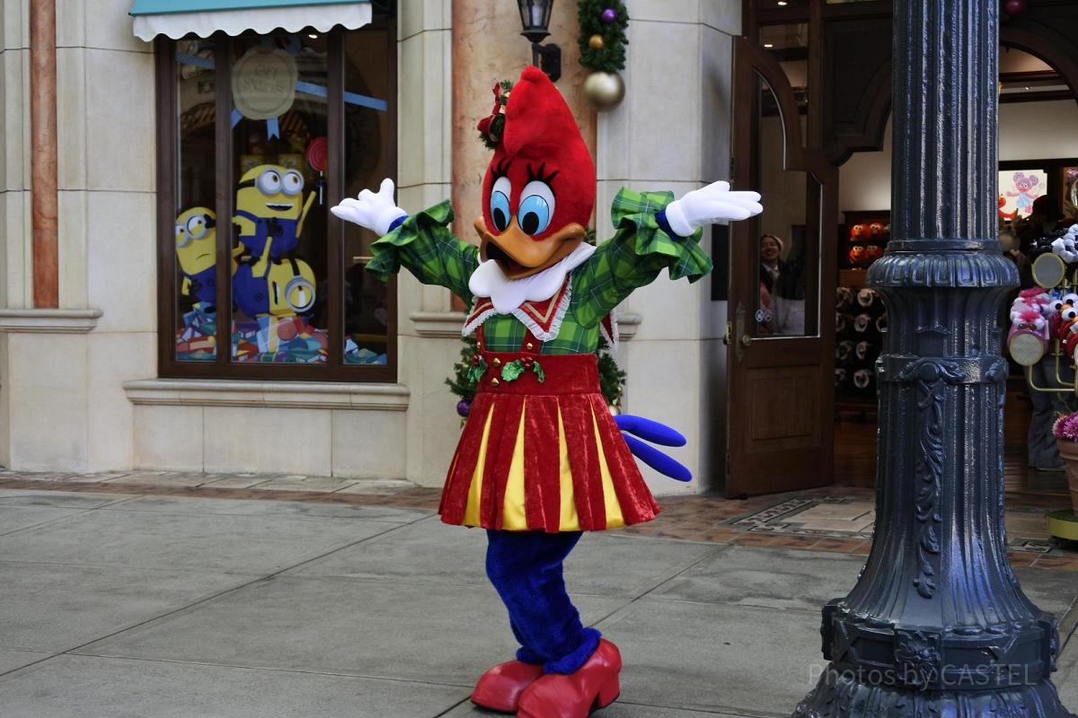 USJ／ウィニーウッドペッカー