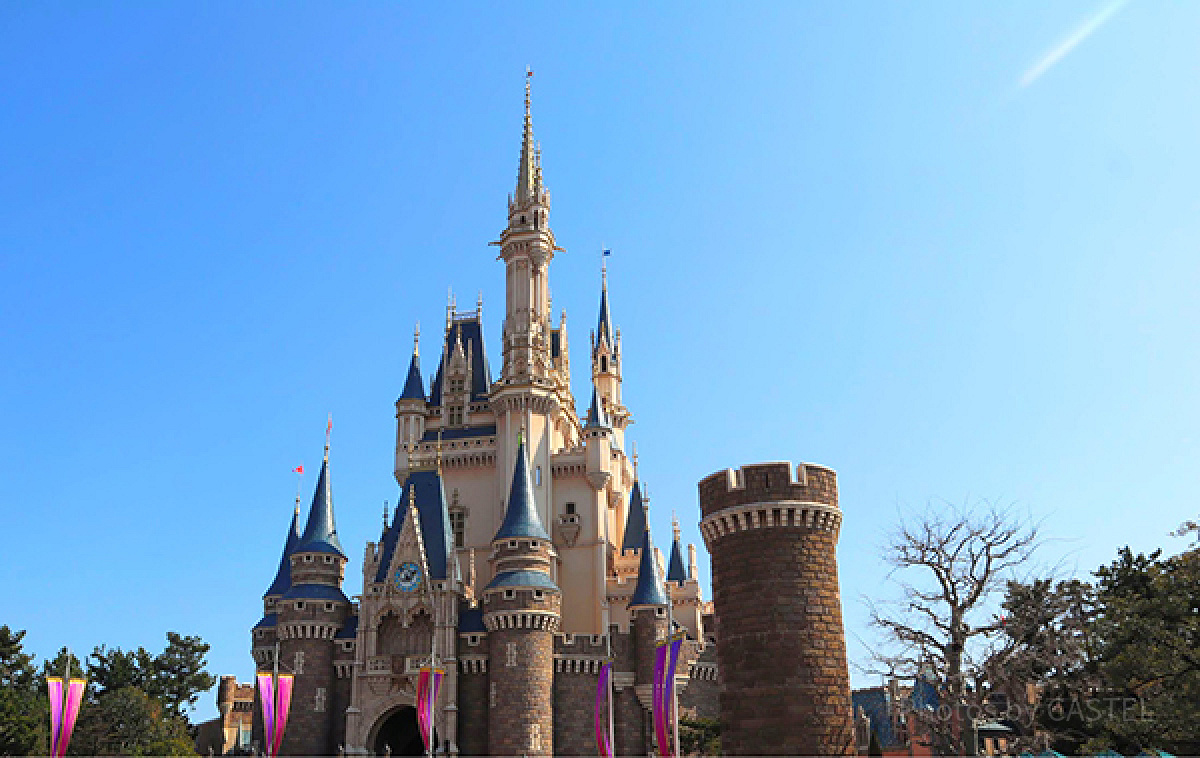 東京ディズニーランド シンデレラ城での結婚式のプラン