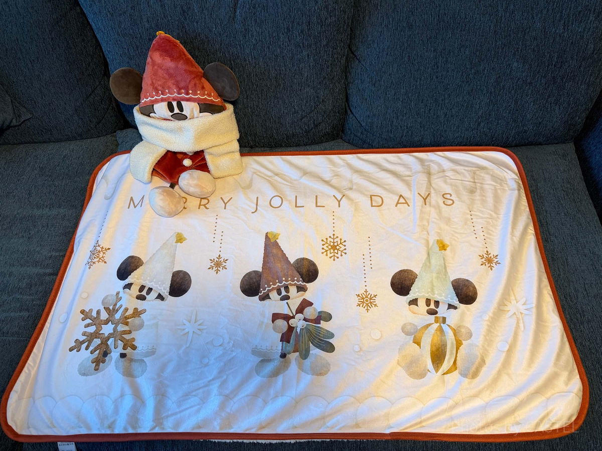 冬ディズニーの持ち物⑤：ブランケット