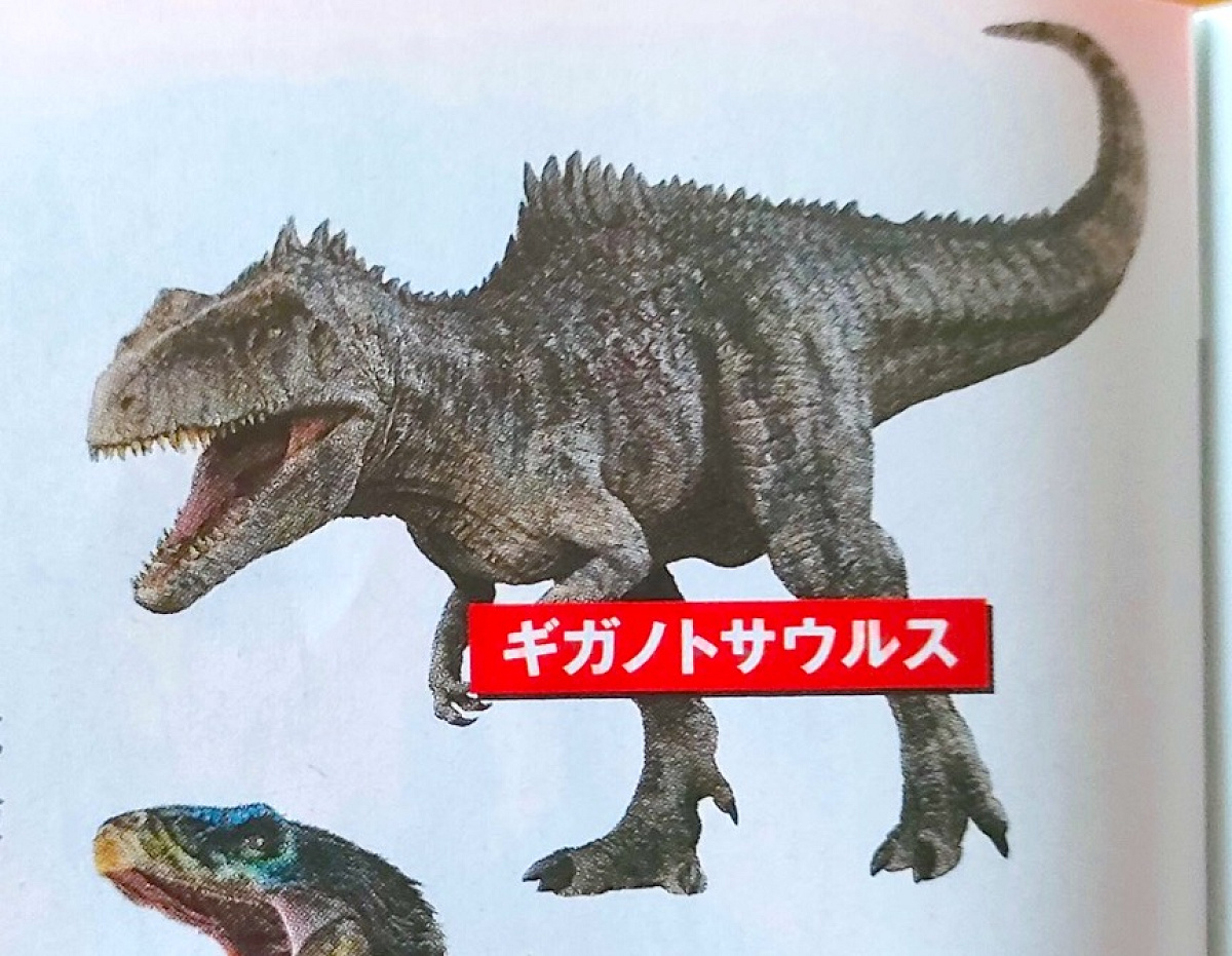 ギガノトサウルス キャステル Castel ディズニー情報