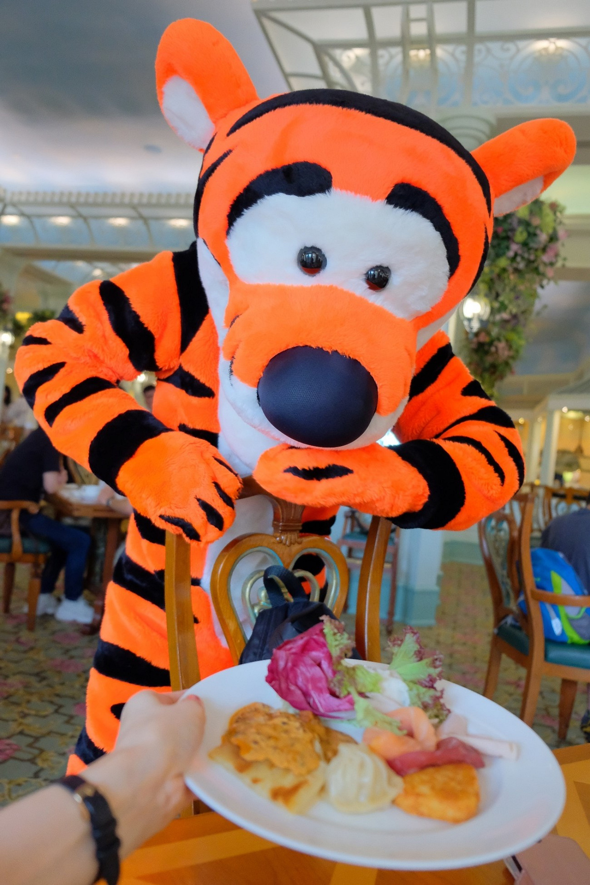 香港ディズニーランドのキャラクターダイニングで会えるティガー キャステル Castel ディズニー情報