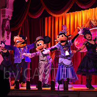 【TDL】ザ・ダイヤモンド・バラエティマスターはどんなショー?鑑賞方法&食事メニューまとめ