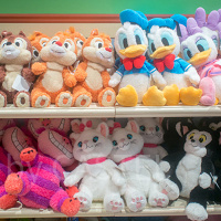 【2025】フラッフィープラッシーまとめ！ふわふわな抱き心地が最高！