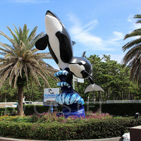 【鴨川シーワールド】駐車場はこう選ぶ!開門時間や混雑、割引、周辺駐車場の情報をたっぷり紹介!