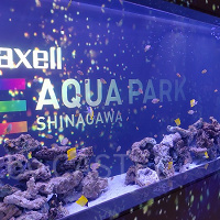 【2023】アクアパーク品川周辺のおすすめランチ9選!美味しい焼肉弁当から駅構内のスパゲティも!