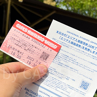 【整理券・抽選券・入場確約券の違い】USJマリオエリア入場方法解説！