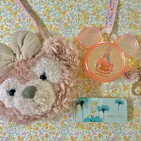 ディズニー女子の持ち物リスト!女子だからこそ必要な持ち物をシチュエーション・季節・天候別に紹介!デートの日の持ち物も♡