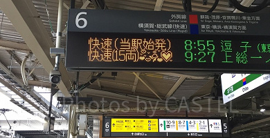 千葉県民の日はディズニー無料！？6月15日の混雑状況や特典&サービスは？