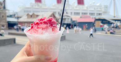 【2026】ディズニーのシェイブアイス(かき氷)全12種類！猛暑の夏にぴったり！アリスのかき氷も
