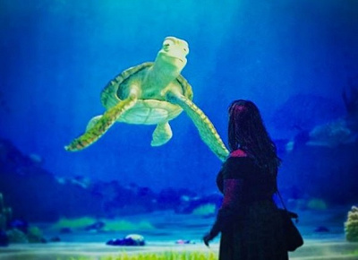 クラッシュとゲストの質問&回答20選!