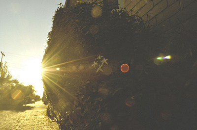 光と音とパフォーマンスが融合!