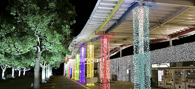 多彩な光に包まれたゲート