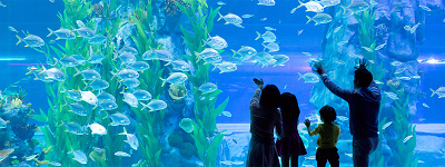 アクアリウム