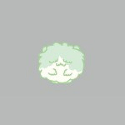 ぼさはむすたー 長毛時