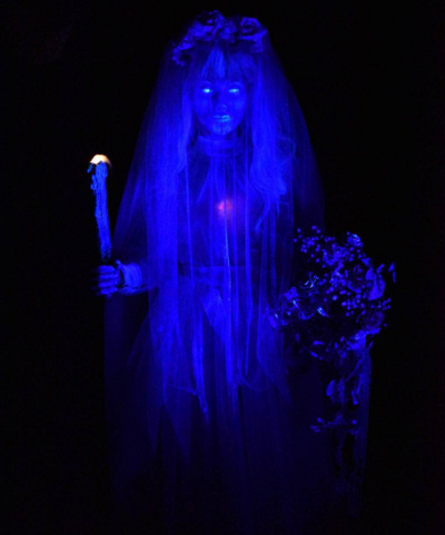 屋根裏部屋の花嫁