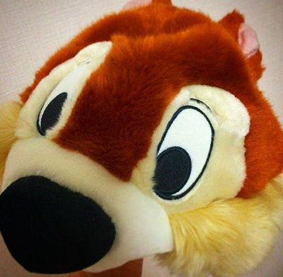 チップのファンキャップ☆