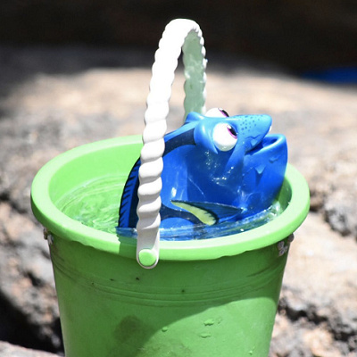 バケツに入るドリー。ファインディングドリーのシーンが完全再現されていますね！