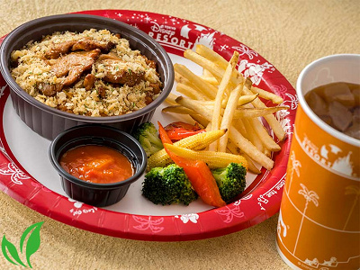 ドライカレードリアプレート