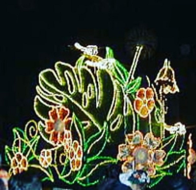 エンチャンテッド・ドラゴンフライ