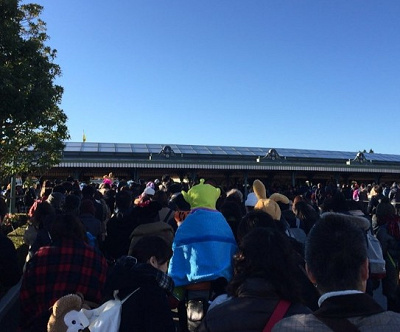 こんな光景とおさらば!入園待ちが楽々に。