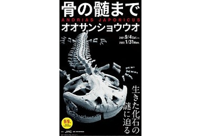 骨の髄までオオサンショウウオ