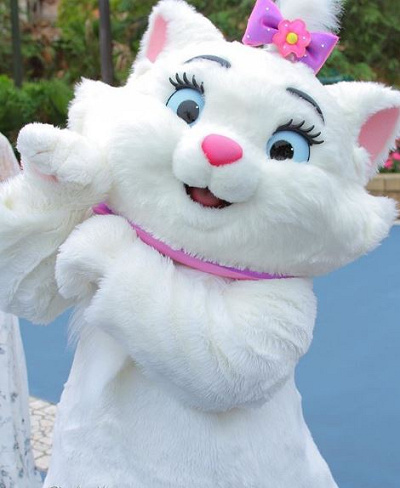 グリーティングの様子